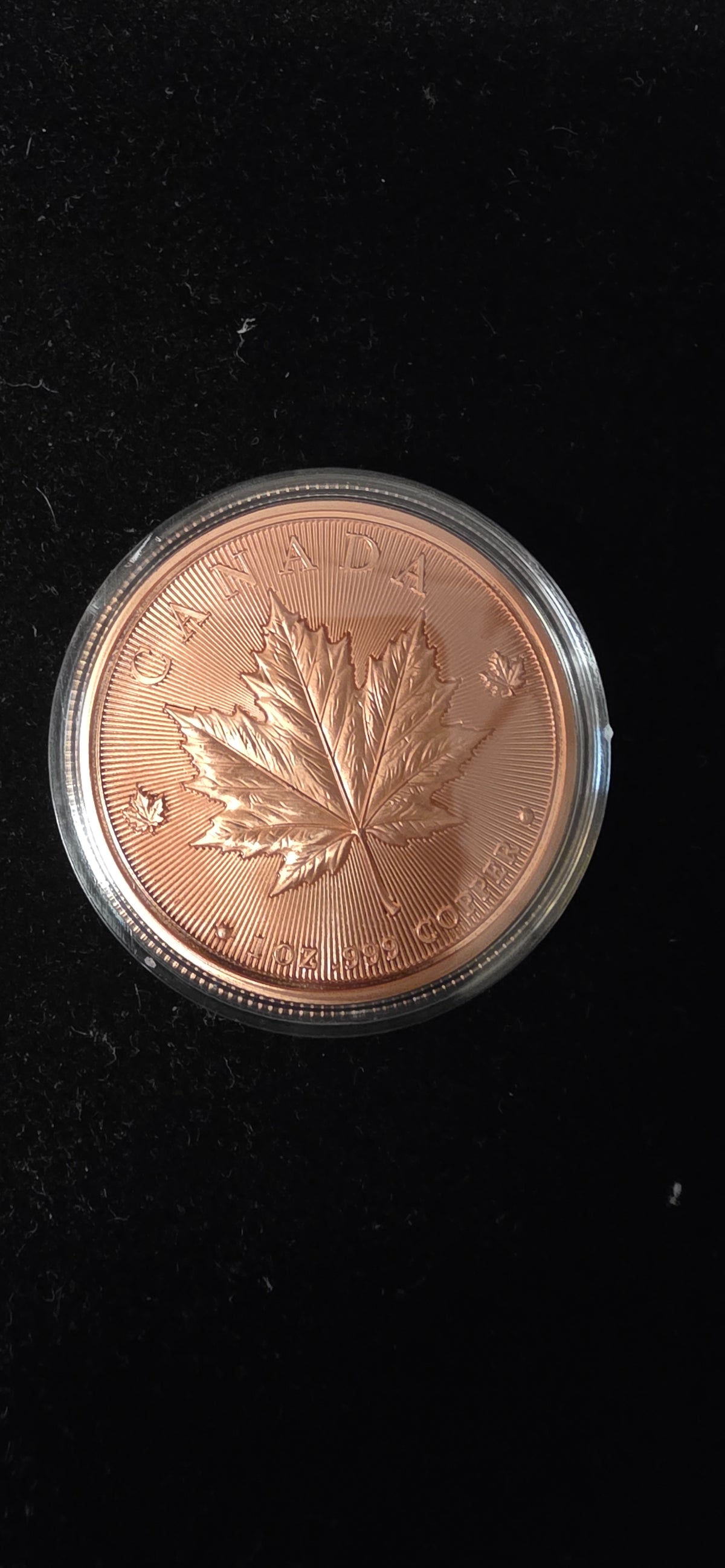 Copper colourised Maple