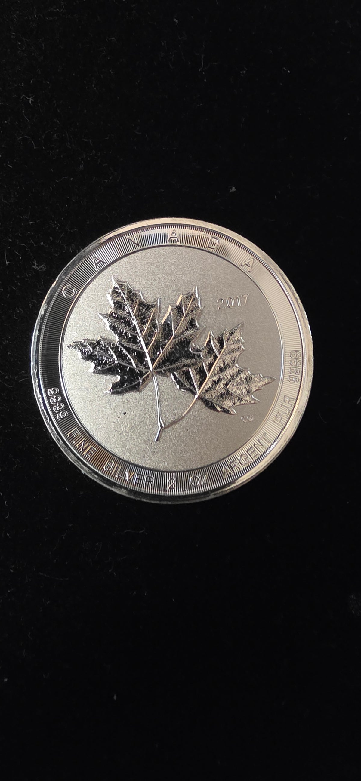 Double maple